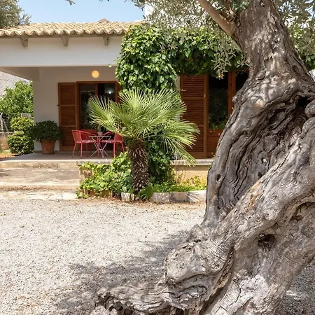 Holiday home Villa La Vinya Can Oliver - Oliver *