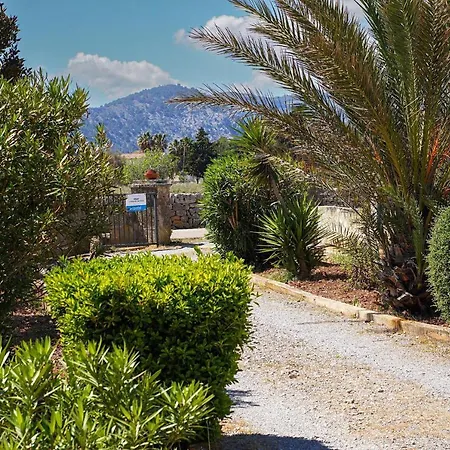 Holiday home Villa La Vinya Can Oliver - Oliver