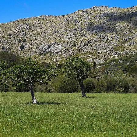 Holiday home Villa La Vinya Can Oliver - Oliver