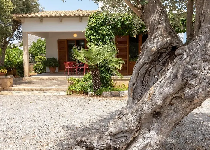 Hébergement de vacances La Vinya Oliver - Oliver *