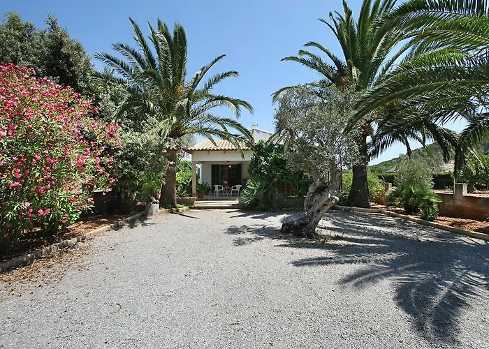 La Vinya Oliver - Oliver