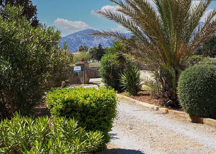 Hébergement de vacances La Vinya Oliver - Oliver