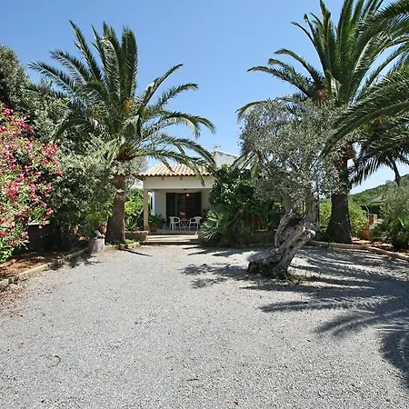 La Vinya Oliver - Oliver