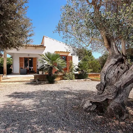 La Vinya Oliver - Oliver Pollença