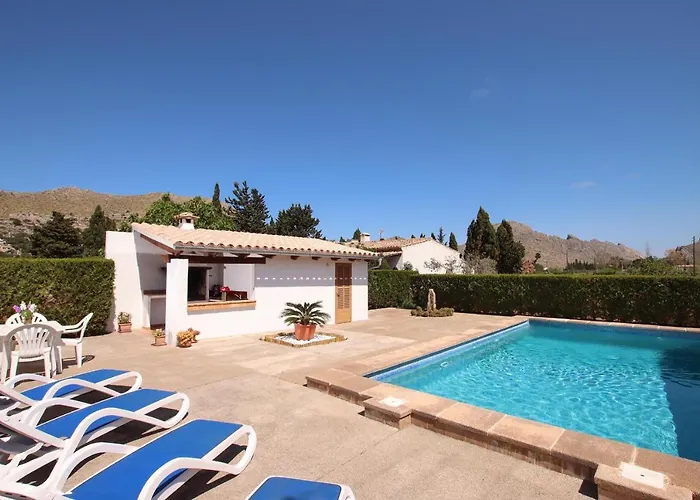 La Vinya Oliver - Oliver *