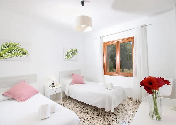 La Vinya Oliver - Oliver * Pollensa