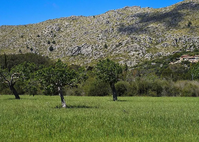 Сasa de vacaciones La Vinya Oliver - Oliver