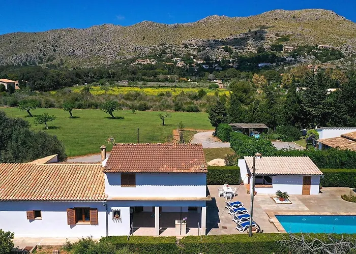 La Vinya Oliver - Oliver