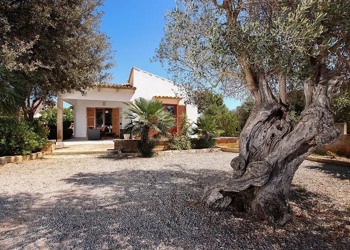 La Vinya Oliver - Oliver Pollença